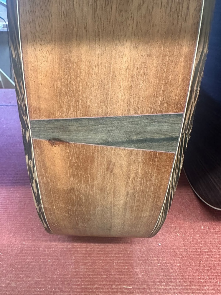S15C Binding