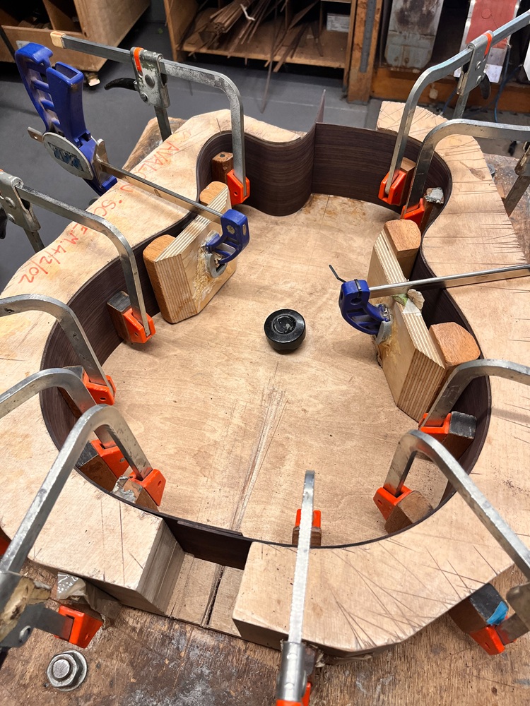 Rosewood Sides in the Mold