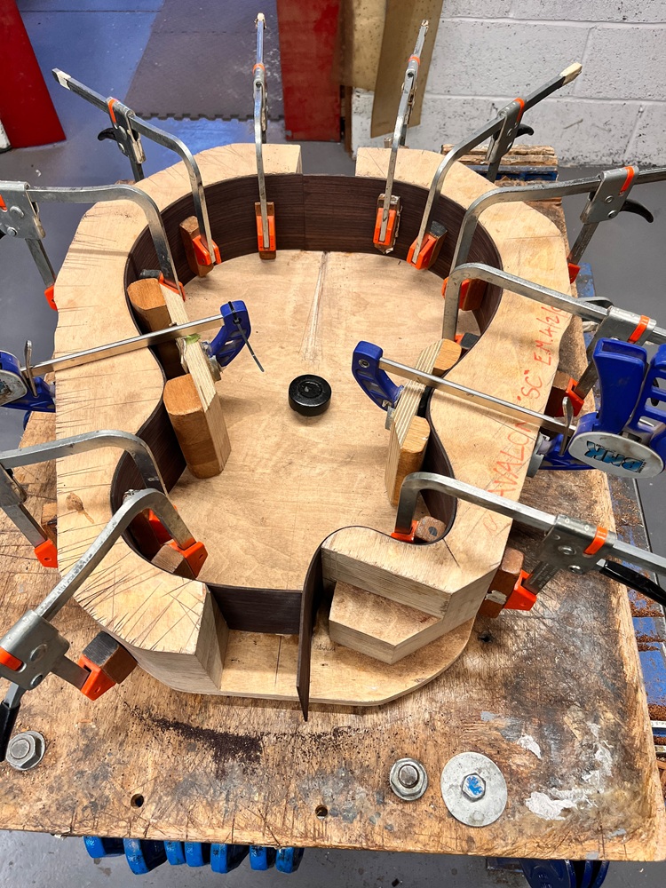 Rosewood Sides in the Mold